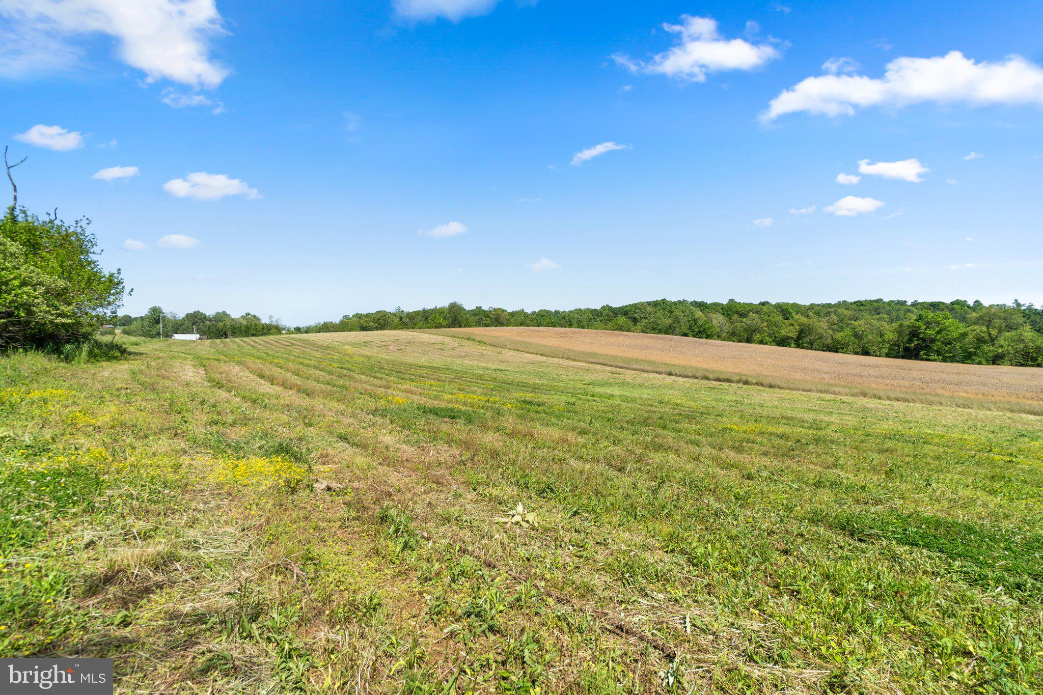 NONE AVAILABLE - Land