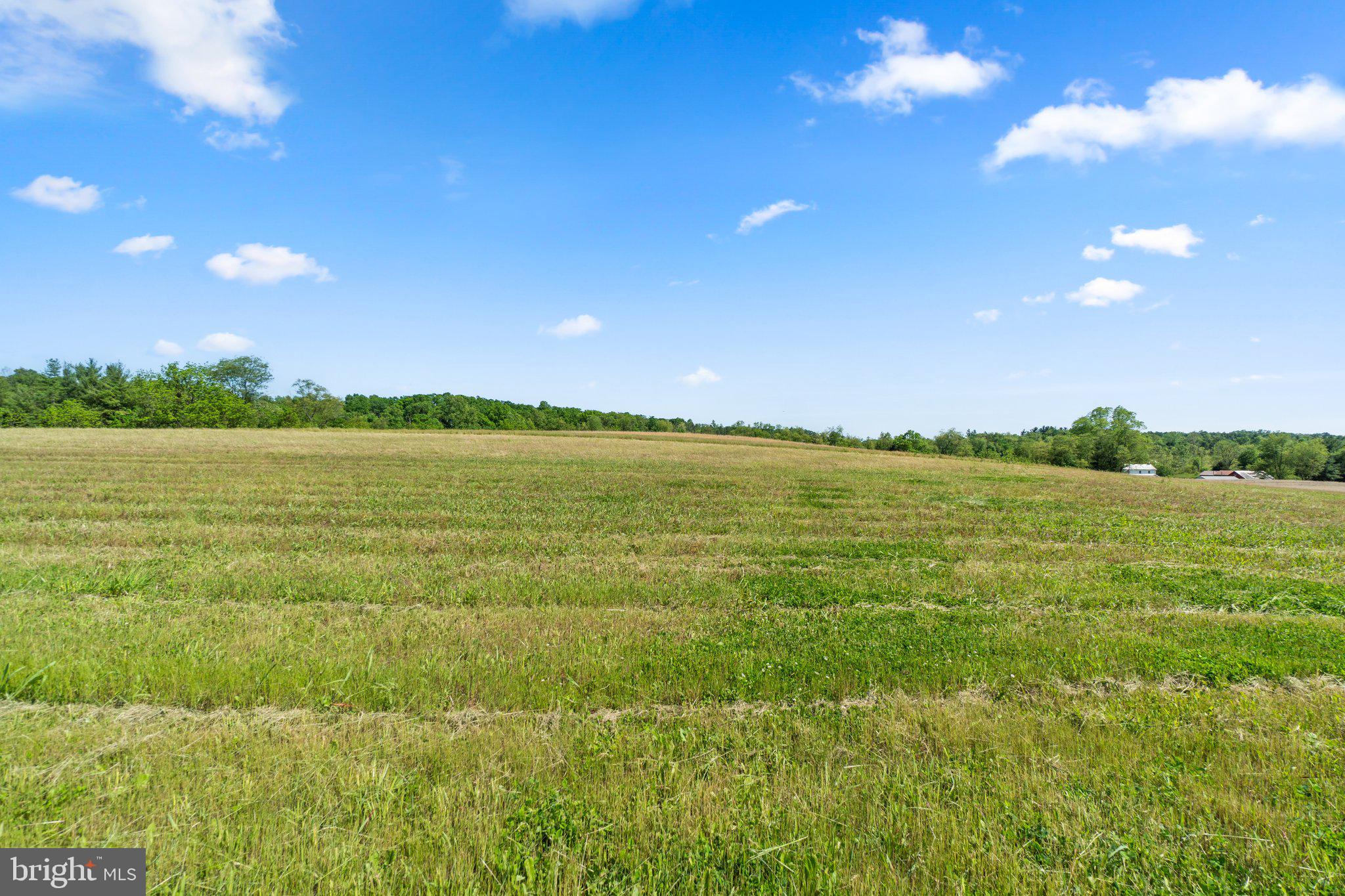 NONE AVAILABLE - Land