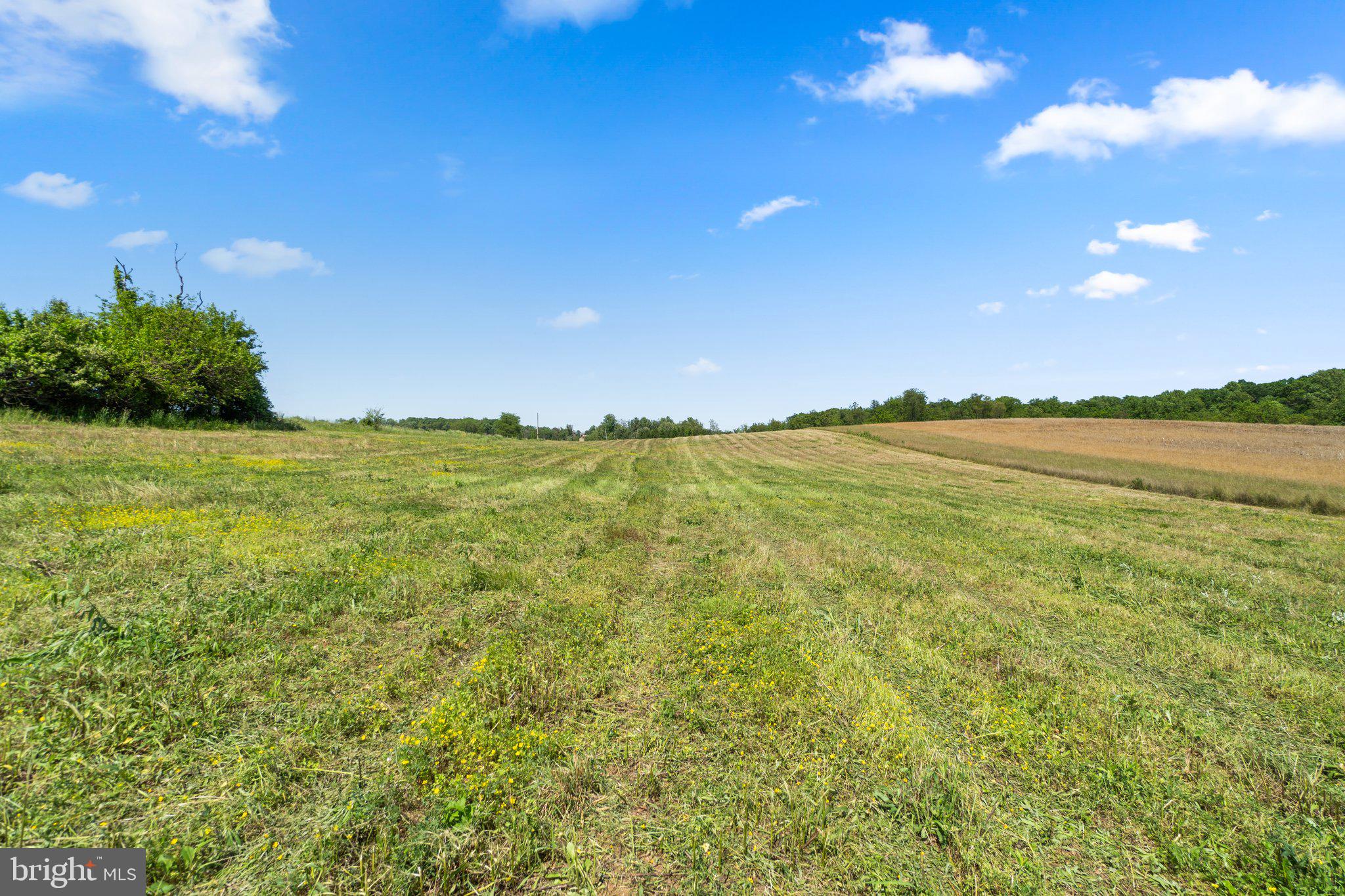 NONE AVAILABLE - Land