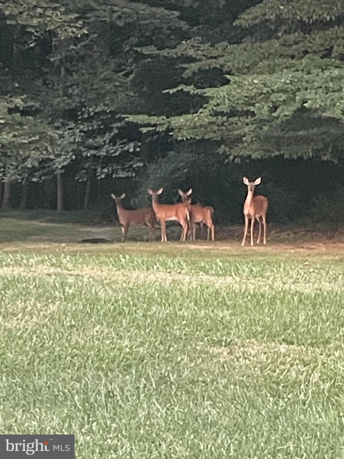 VALLEY HEIGHTS - Residential