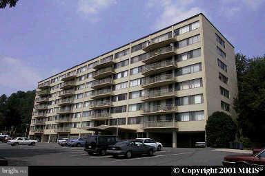 5353 COLUMBIA PIKE 509