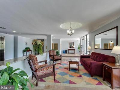 5353 COLUMBIA PIKE 509