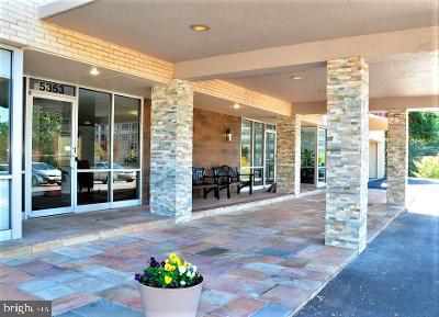 5353 COLUMBIA PIKE 509