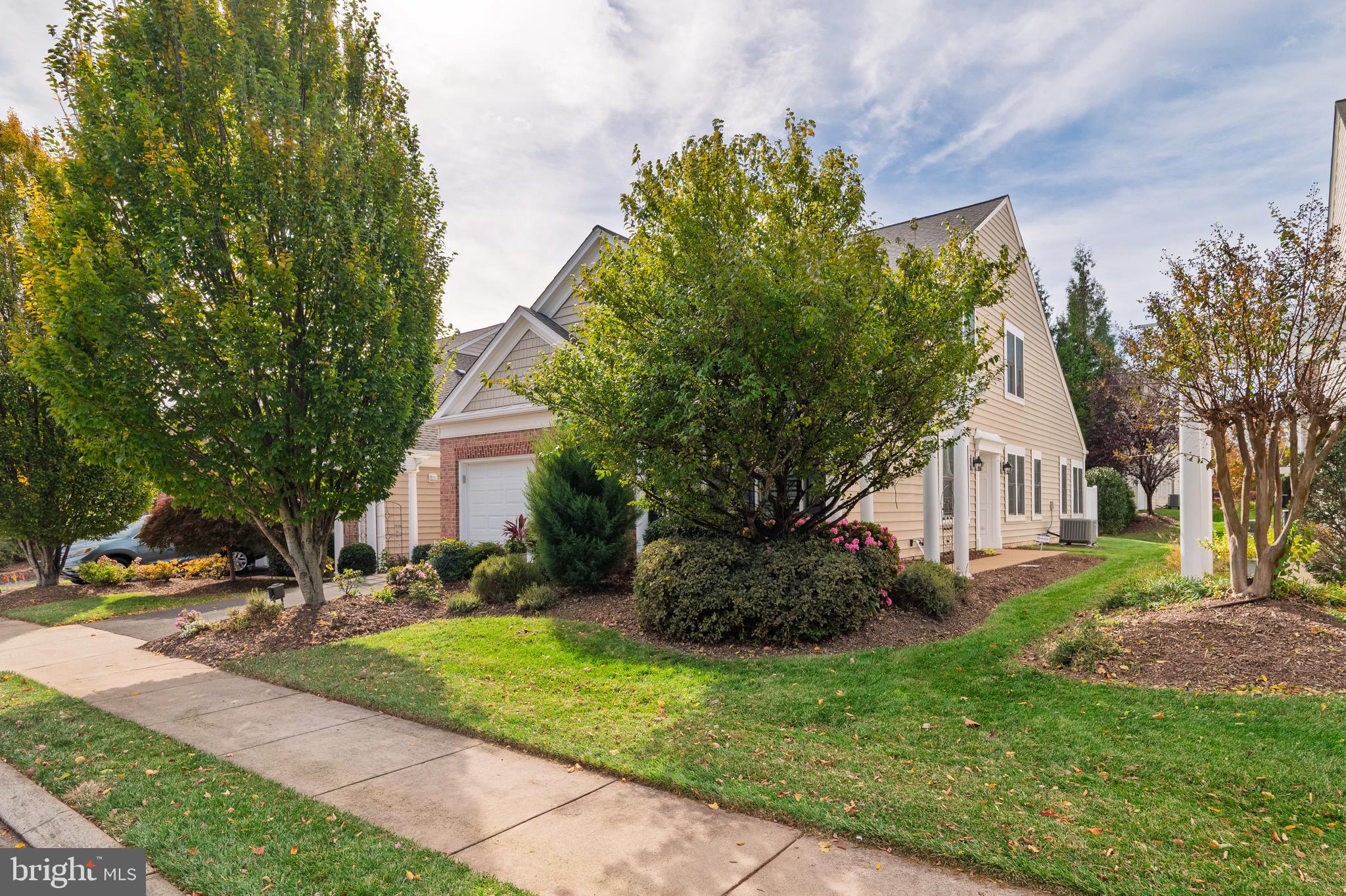 44489 MALTESE FALCON SQUARE