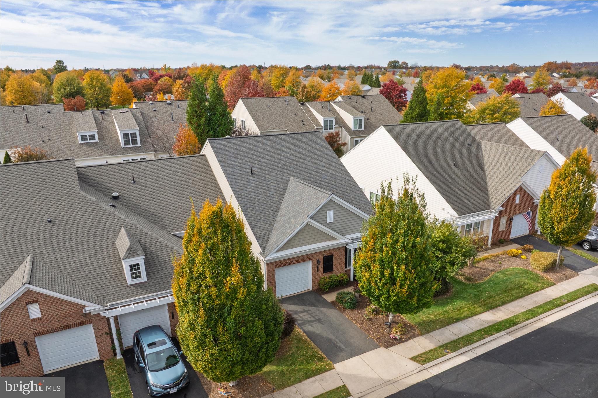 44489 MALTESE FALCON SQUARE