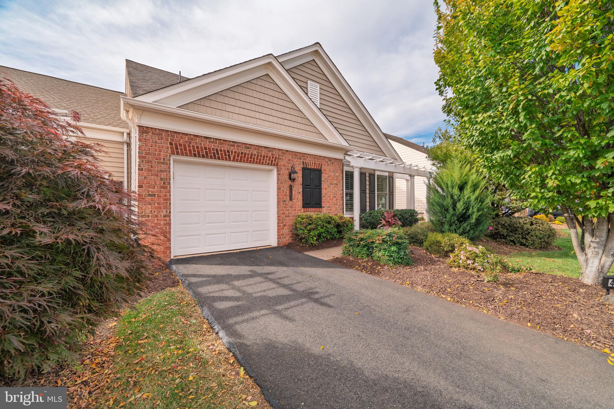 44489 MALTESE FALCON SQUARE