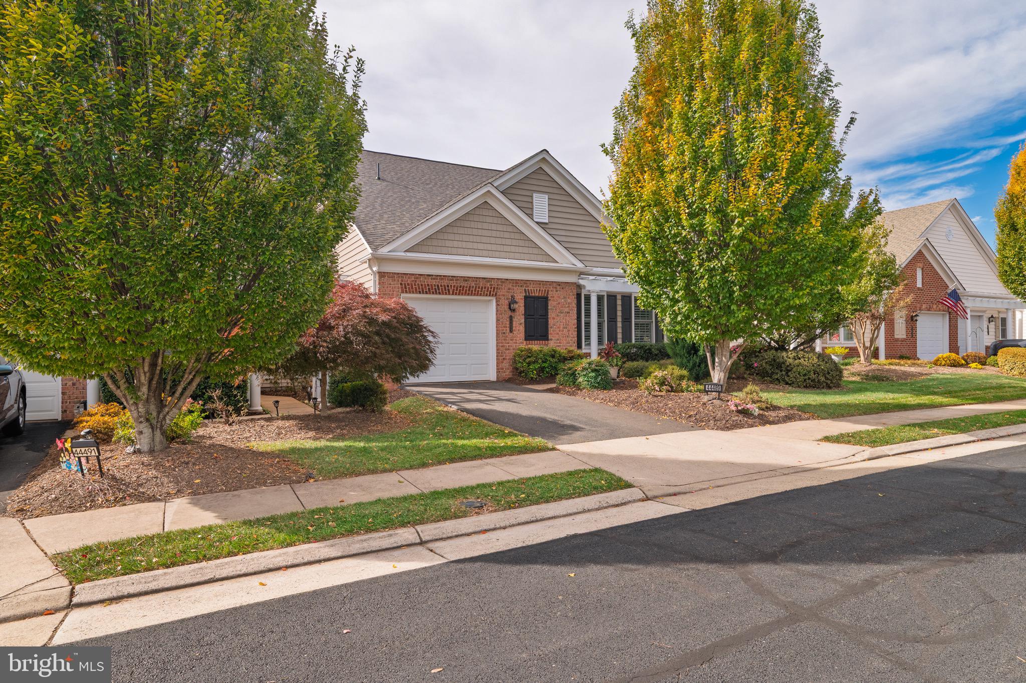 44489 MALTESE FALCON SQUARE