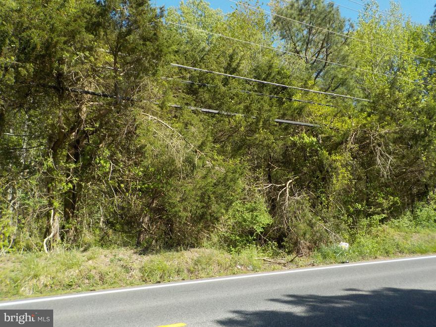 WOODED LEVEL 45 ACRE LOT IN WALDORF!! NICELY TREED! LEVEL! IN WASTERSHED CONSERVATION DISTRICT. NO SEPTIC TESTING DONE AT THIS TIME. COPY OF SURVEY IN THE DOCUMENTATION SECTION. ON BENSVILLE RD ACROSS FROM SCENIC MEADOW ST.