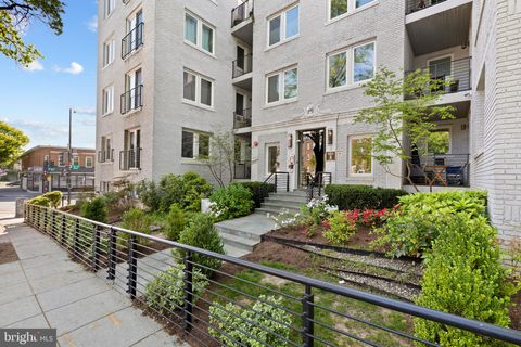 329 RHODE ISLAND AVENUE NE 303 WASHINGTON DC 20002