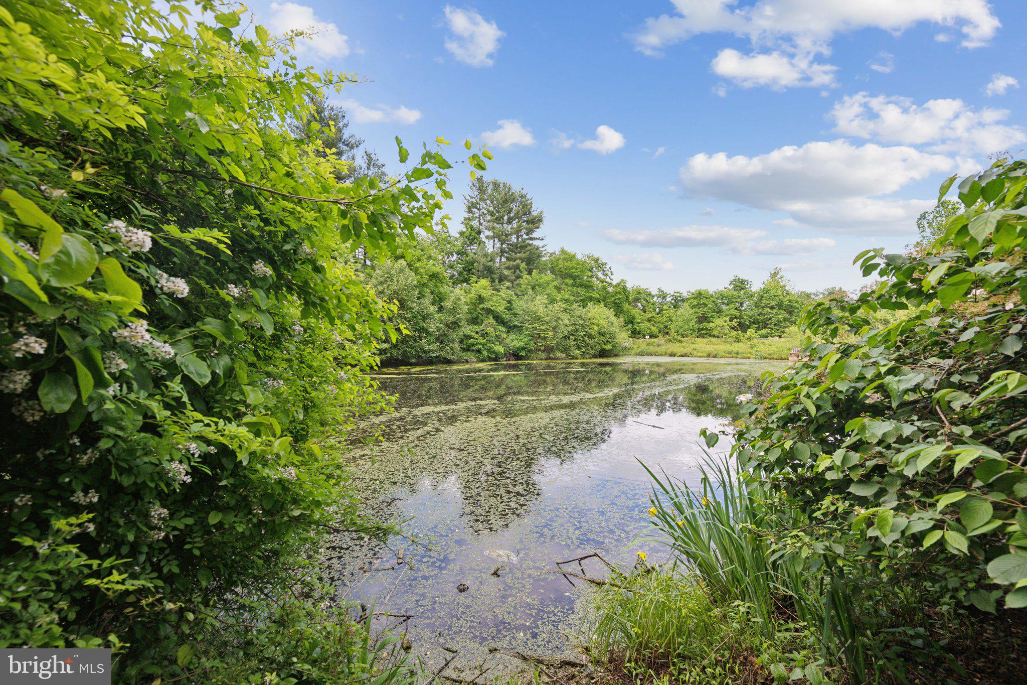 LONGMEAD - Residential