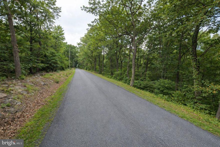 Beautiful 0.65-acre wooded lot located on Shawnee Trail in Winchester, Virginia, within the Shawneeland
community of Frederick County. This peaceful parcel offers paved road frontage, mountain surroundings,
and a private natural setting while still being a short drive to shopping, dining, and conveniences in
Winchester.

The lot is wooded and sloped, making it ideal for buyers seeking privacy, scenery, and a unique future
homesite or getaway retreat. Great investment opportunity, hold, or future development. Similar parcels
with road access in this area are becoming harder to find.

Property is conveniently located near outdoor recreation, trails, and the scenic Shenandoah Valley region.
Enjoy country living with easy access to town.

Property Details:
APN: 49A021201
Approx. 0.65 Acre
Wooded
Paved Road Access
Winchester Mailing Address
Frederick County, VA
Owner financing available.
Property is being sold as-is. Great opportunity to own affordable Virginia land.