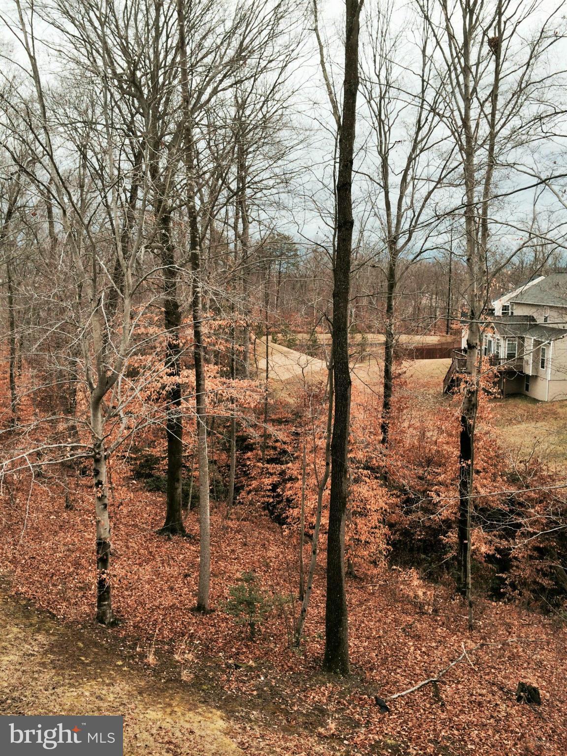 EAGLES POINTE - Residential Lease