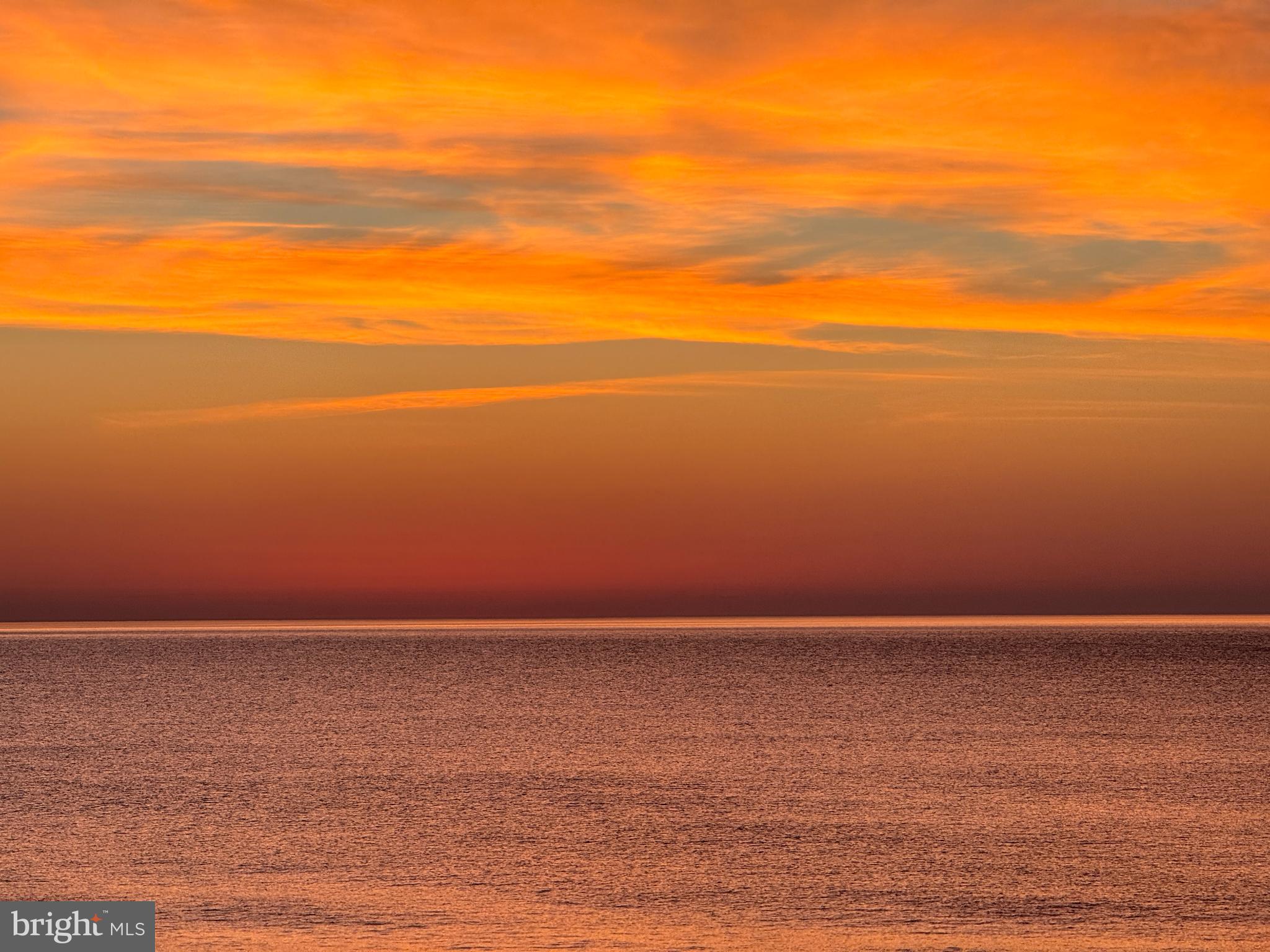 12305 WIGHT STREET 102