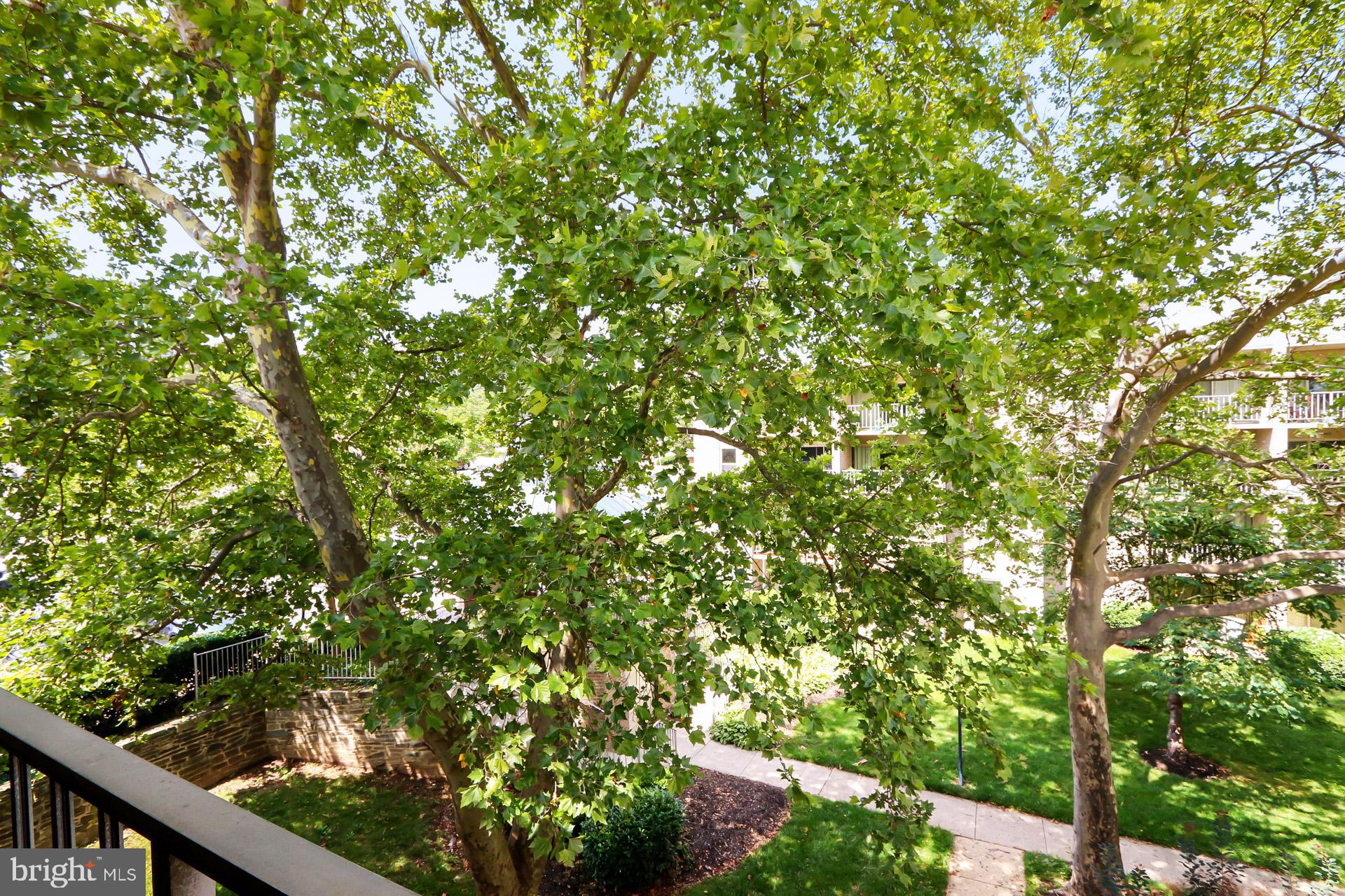 CANTERBURY SQUARE - Residential