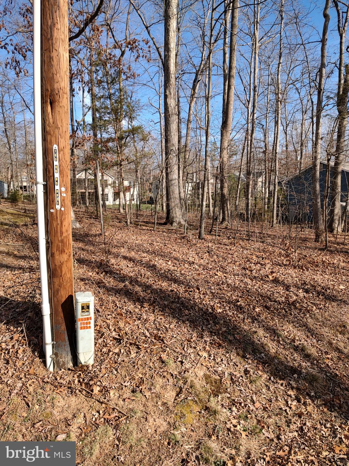 LAKE OF THE WOODS - Land