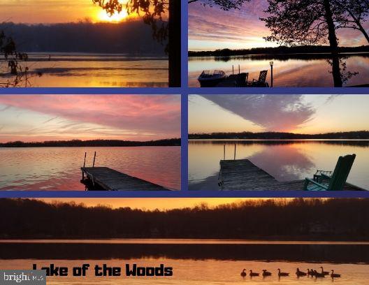 LAKE OF THE WOODS - Land