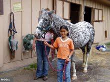 LAKE OF THE WOODS - Land