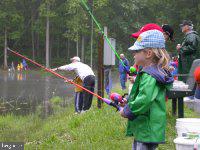 LAKE OF THE WOODS - Land