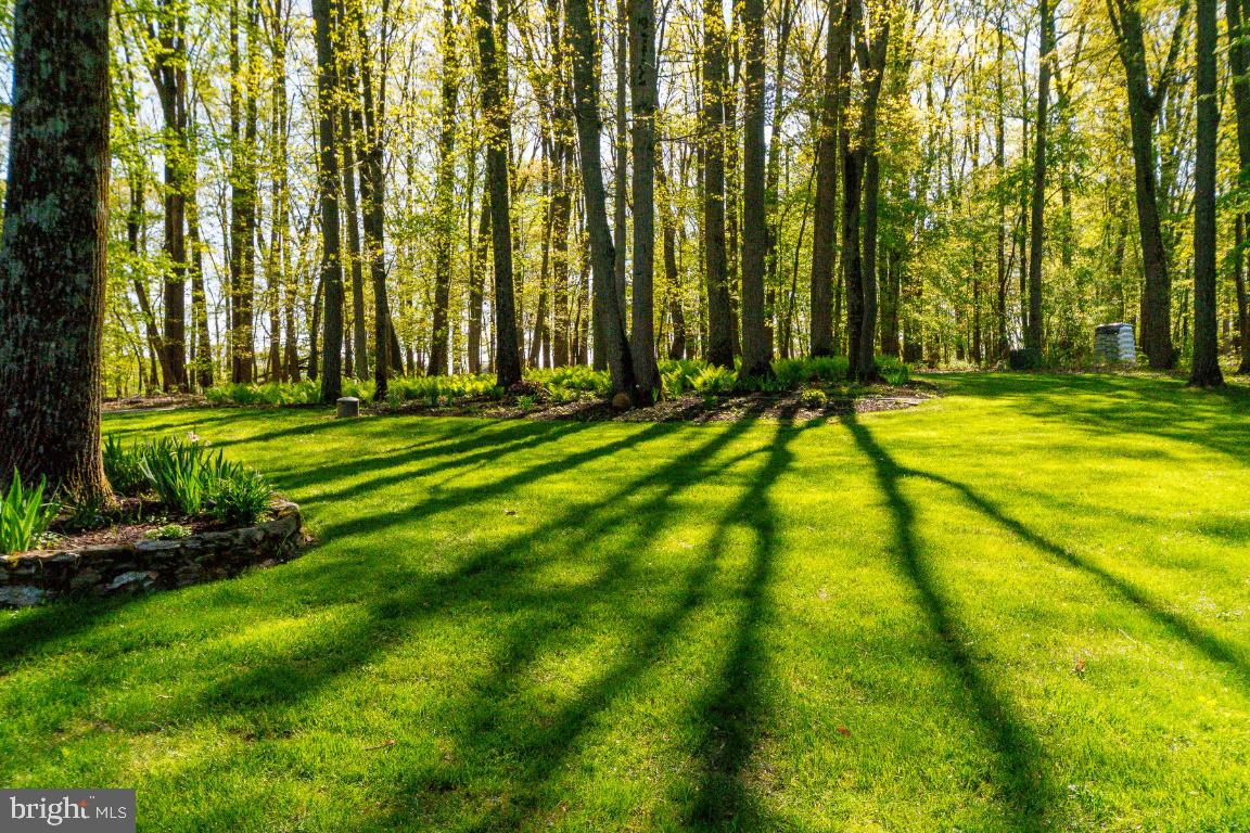 DAMASCUS OUTSIDE - Residential