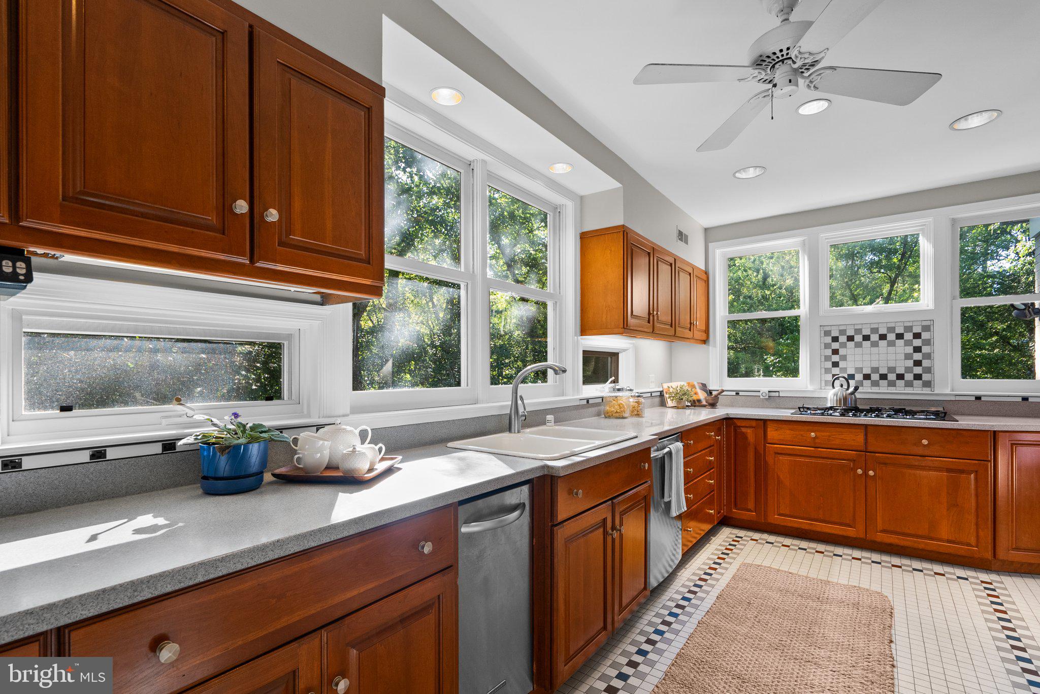 WOODSIDE PARK - Residential