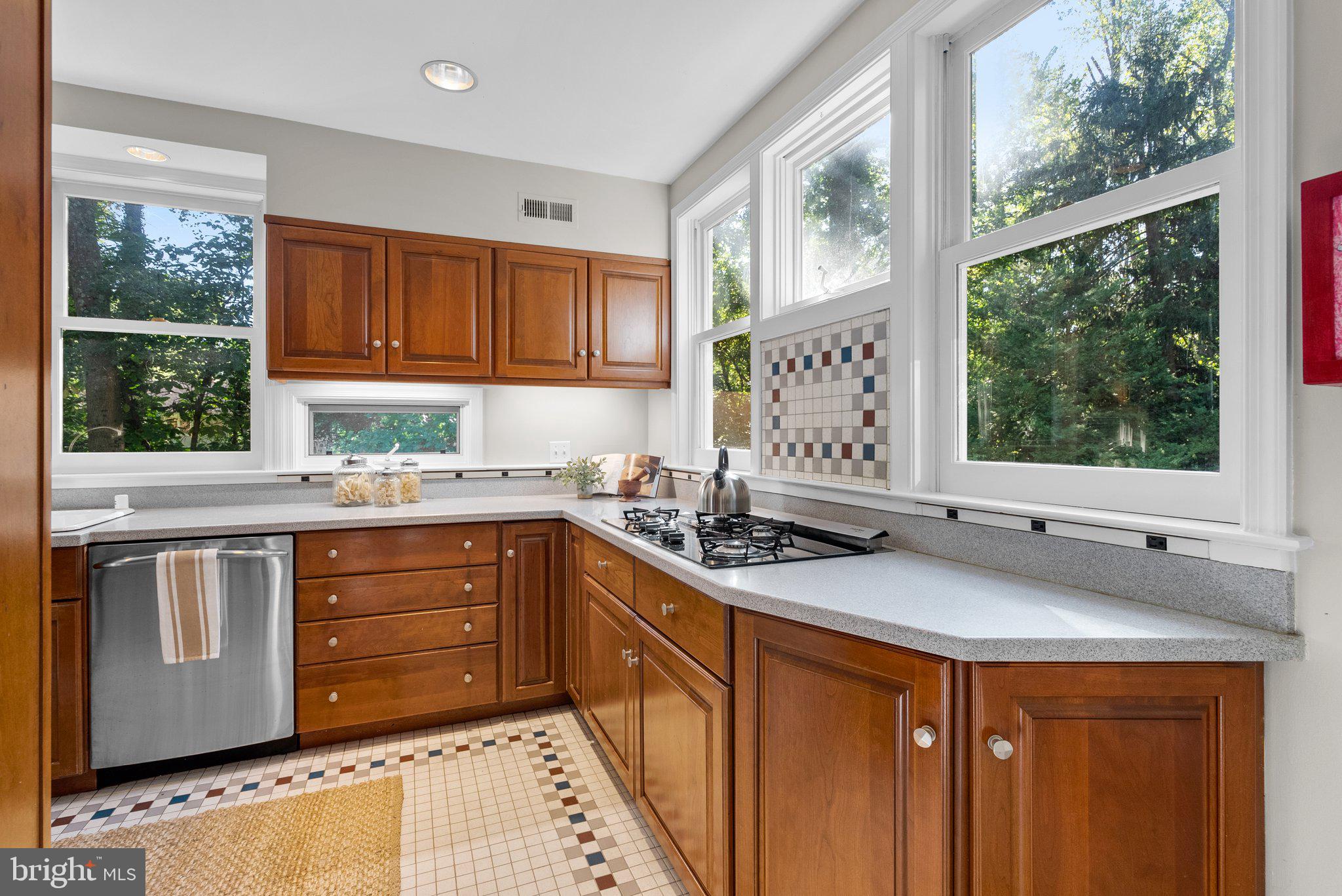 WOODSIDE PARK - Residential