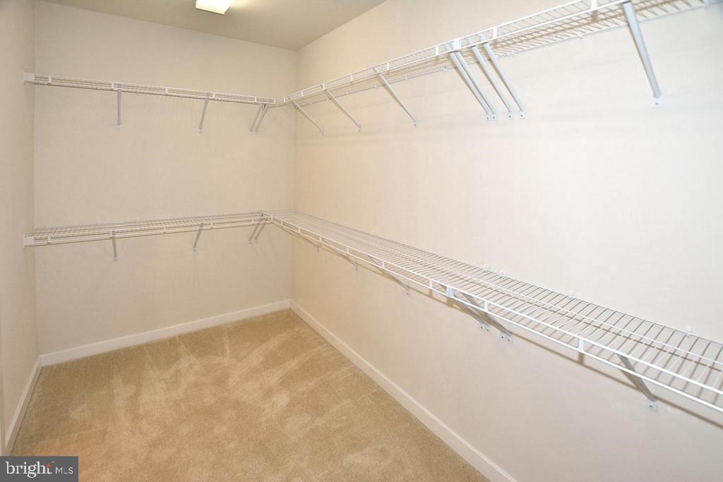 MOUNT VINEYARD - Residential