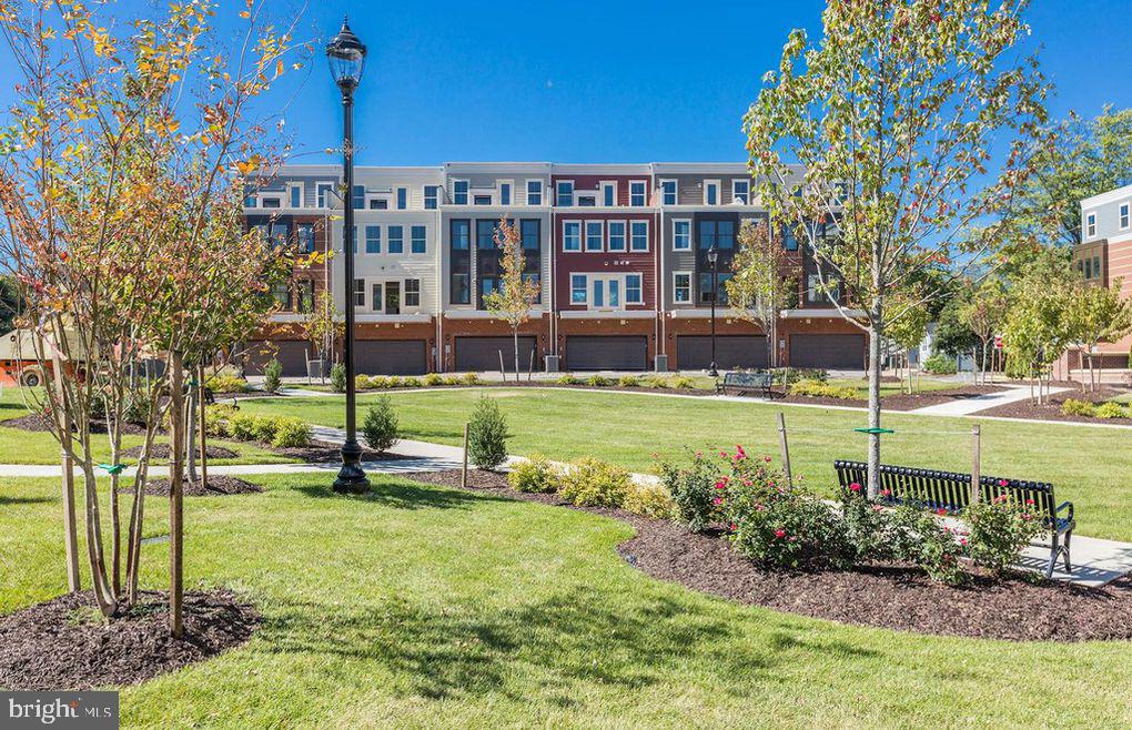 MOUNT VINEYARD - Residential