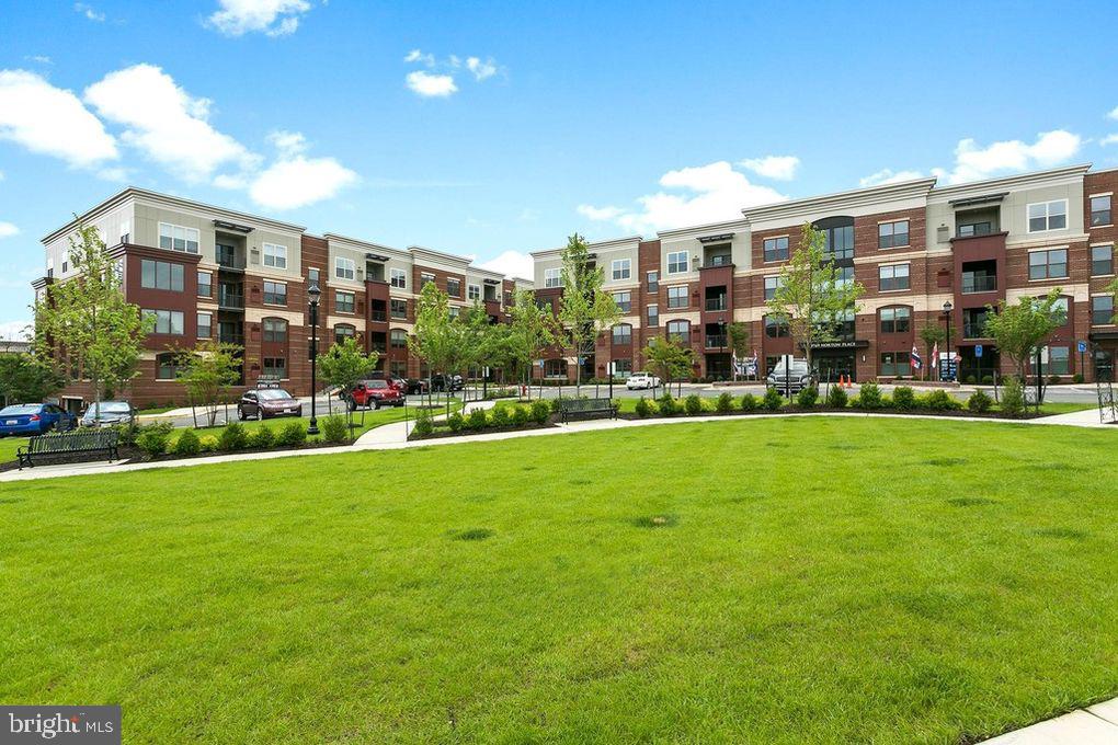 MOUNT VINEYARD - Residential