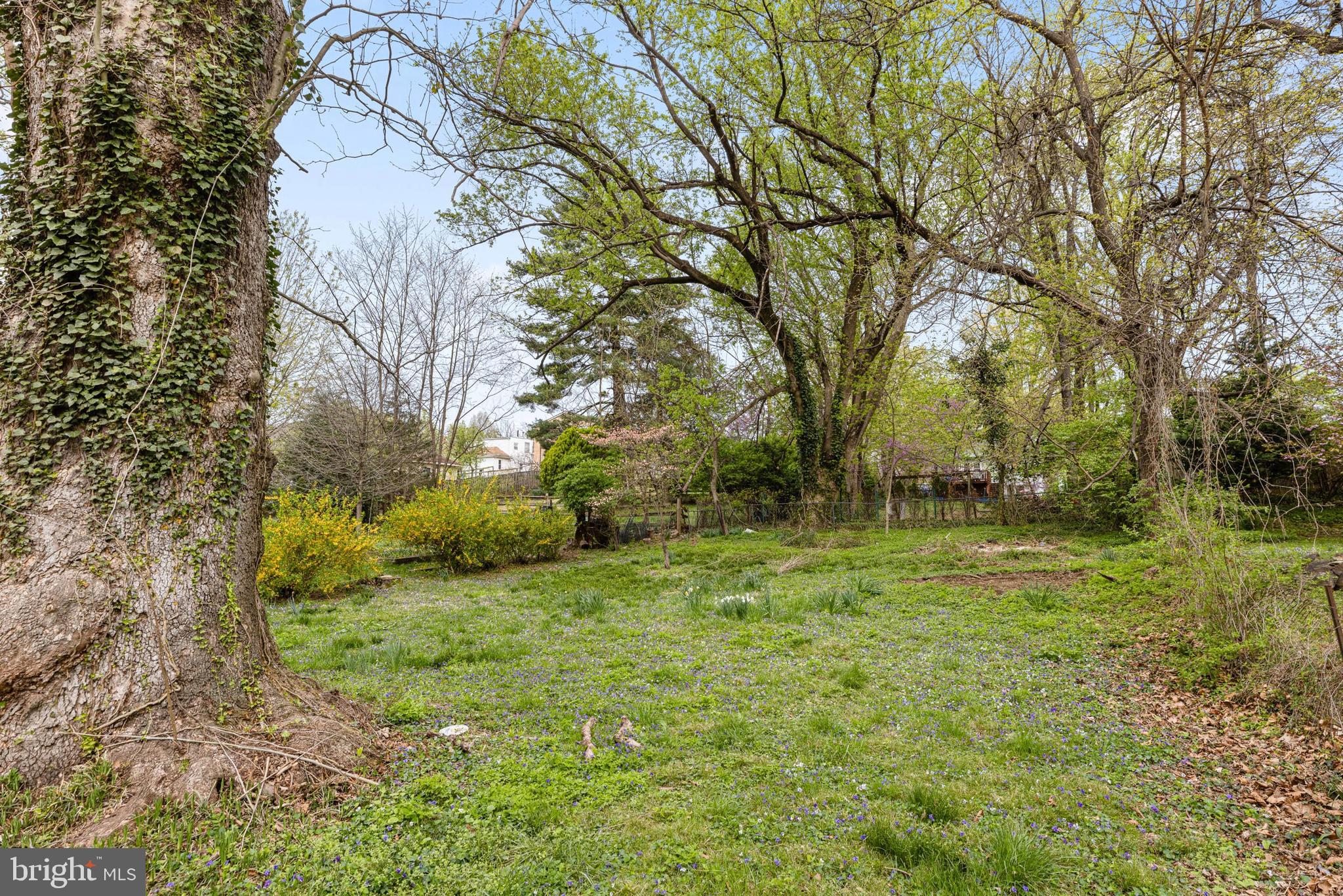 SILVER SPRING - Residential