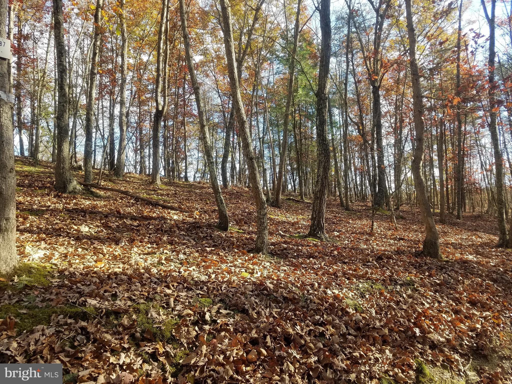 CRYSTAL VALLEY ESTATES - Land