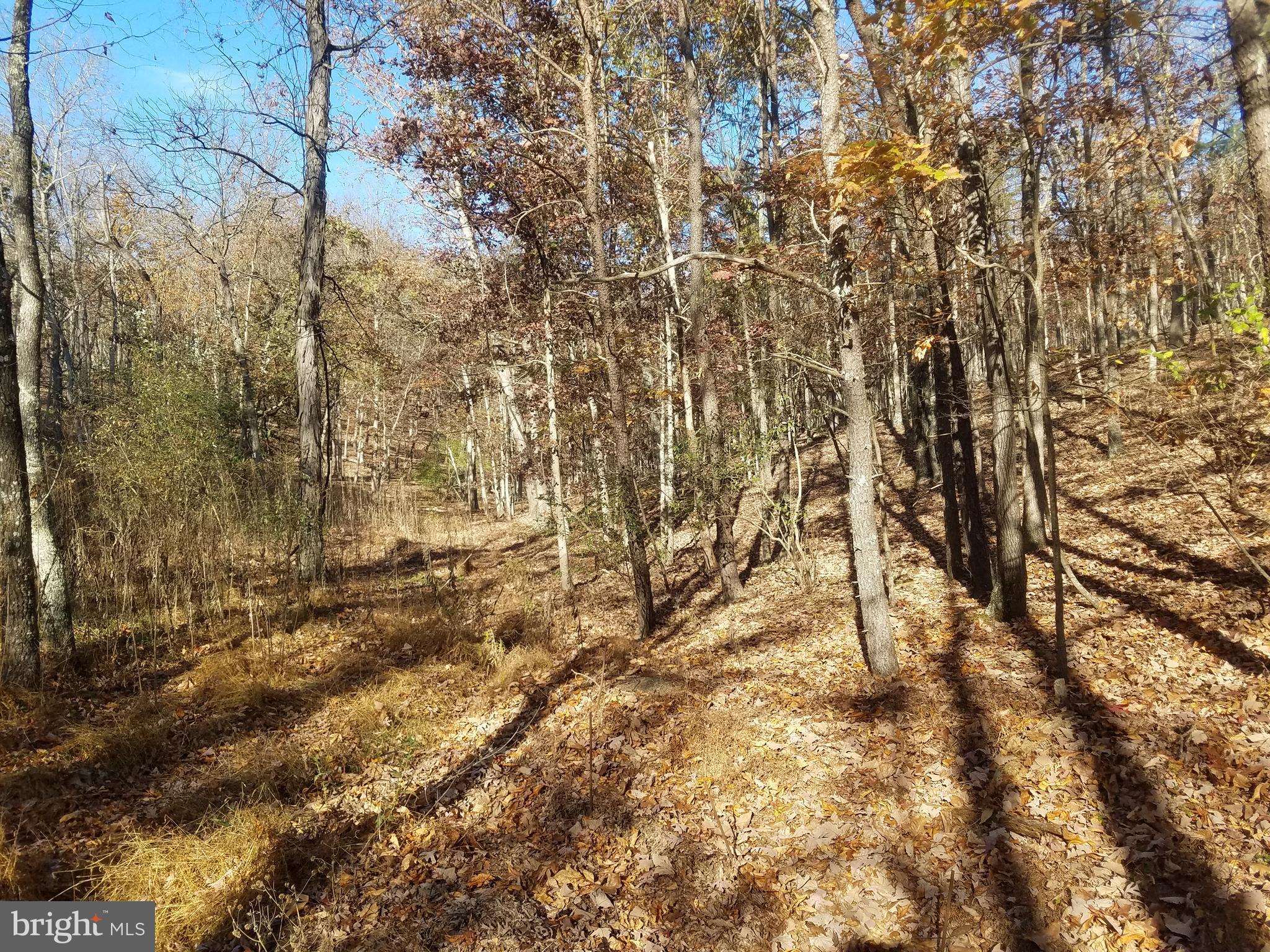 CRYSTAL VALLEY ESTATES - Land