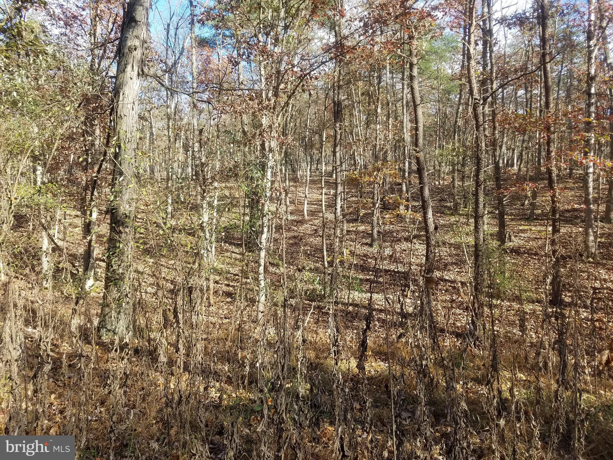 CRYSTAL VALLEY ESTATES - Land