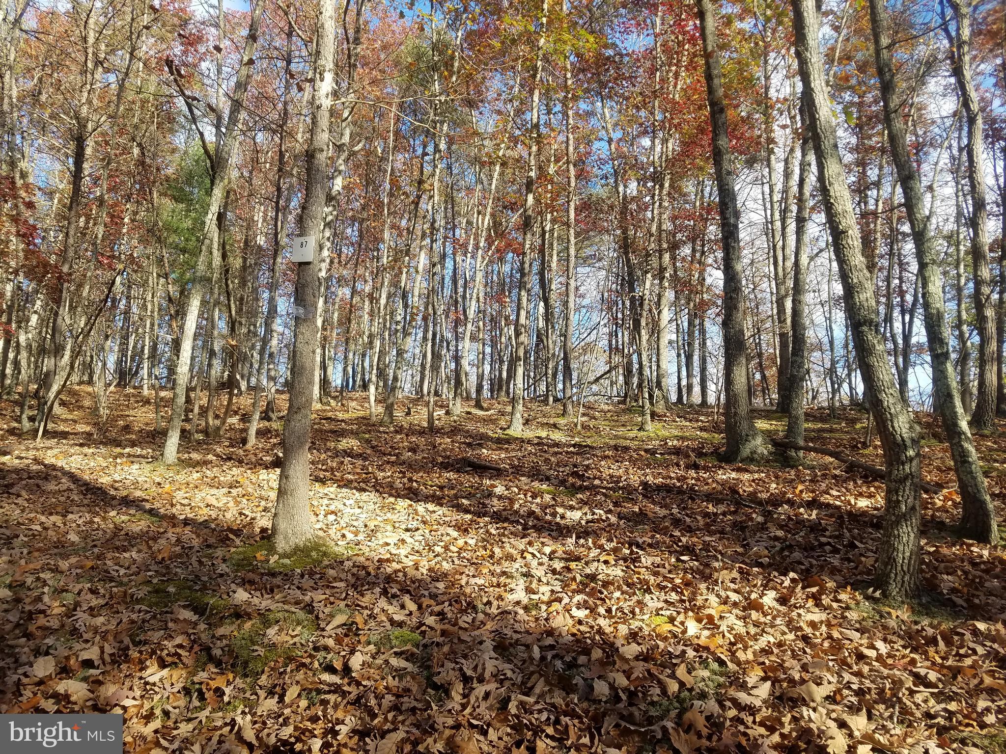 CRYSTAL VALLEY ESTATES - Land