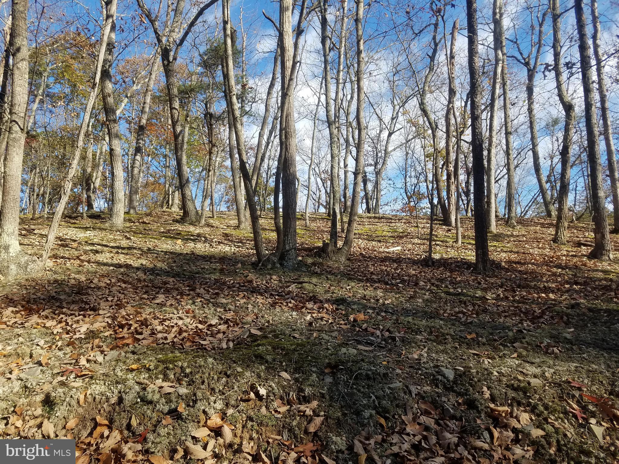 CRYSTAL VALLEY ESTATES - Land