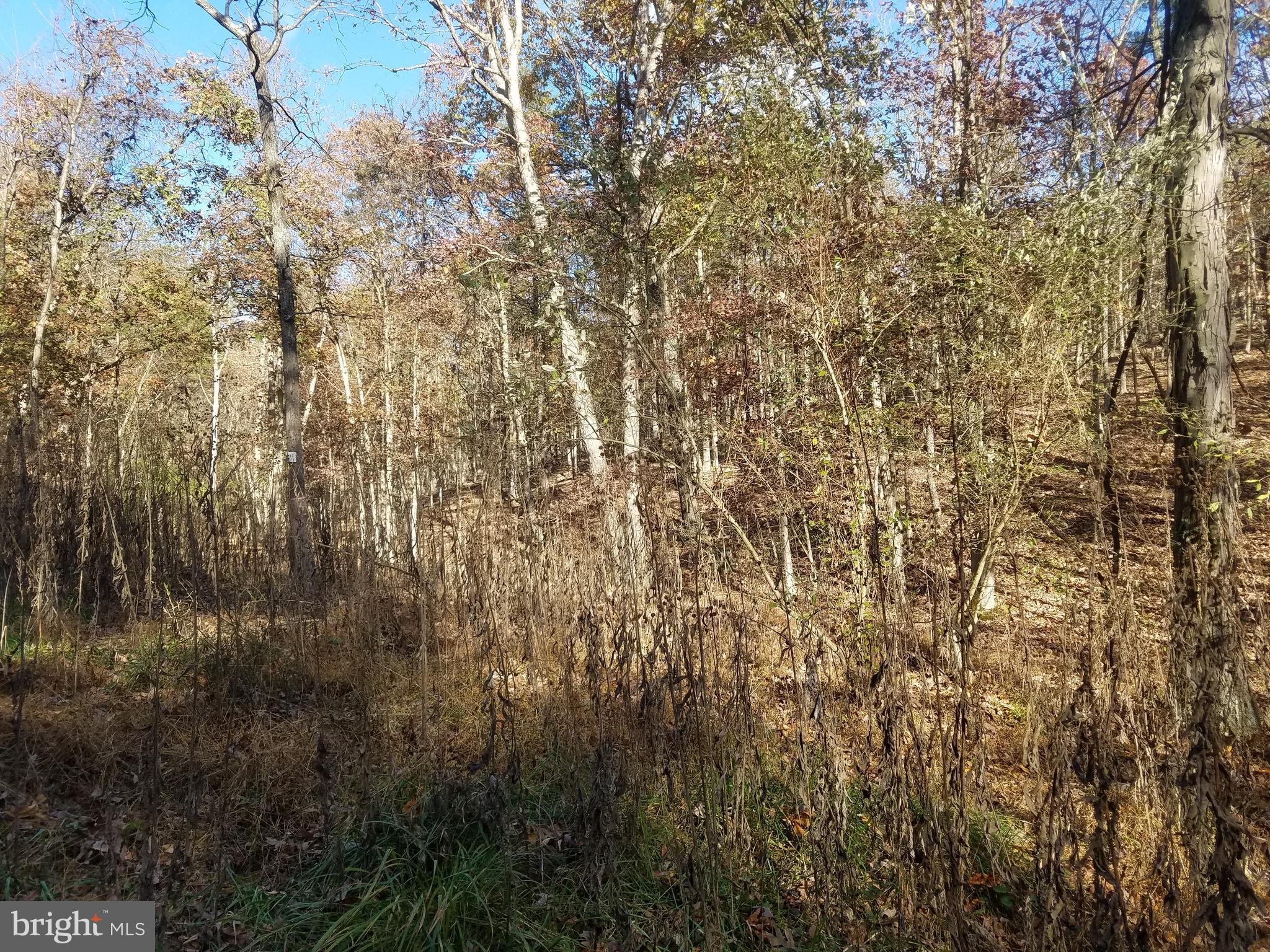 CRYSTAL VALLEY ESTATES - Land