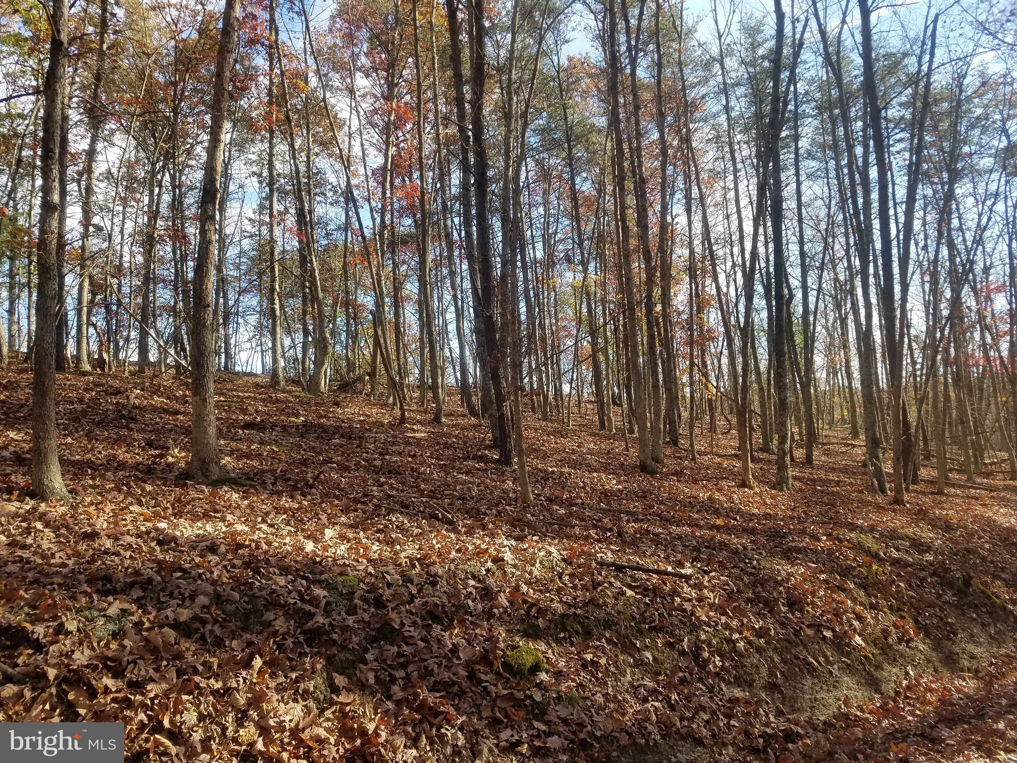 CRYSTAL VALLEY ESTATES - Land