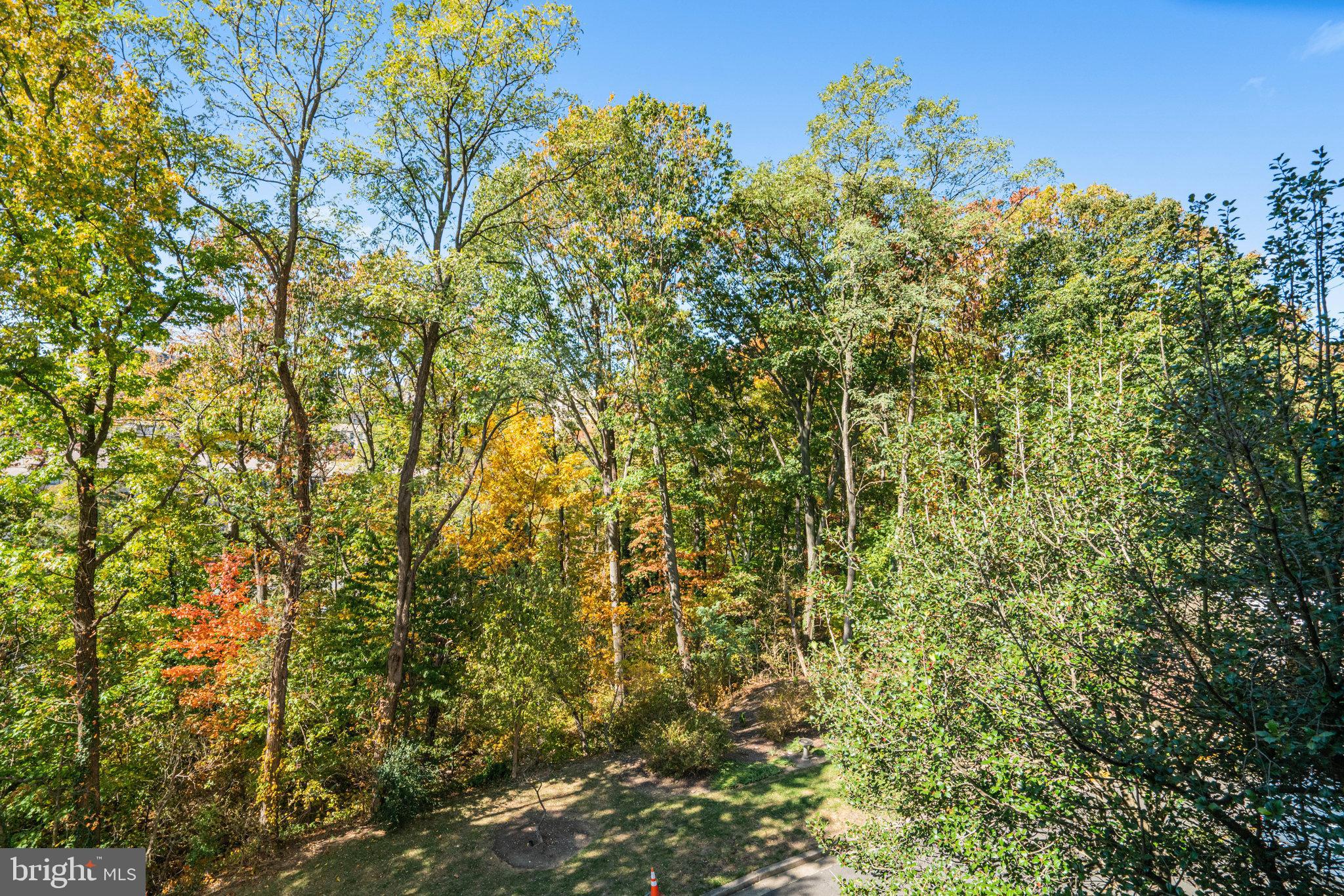 ALEXANDRIA KNOLLS - Residential