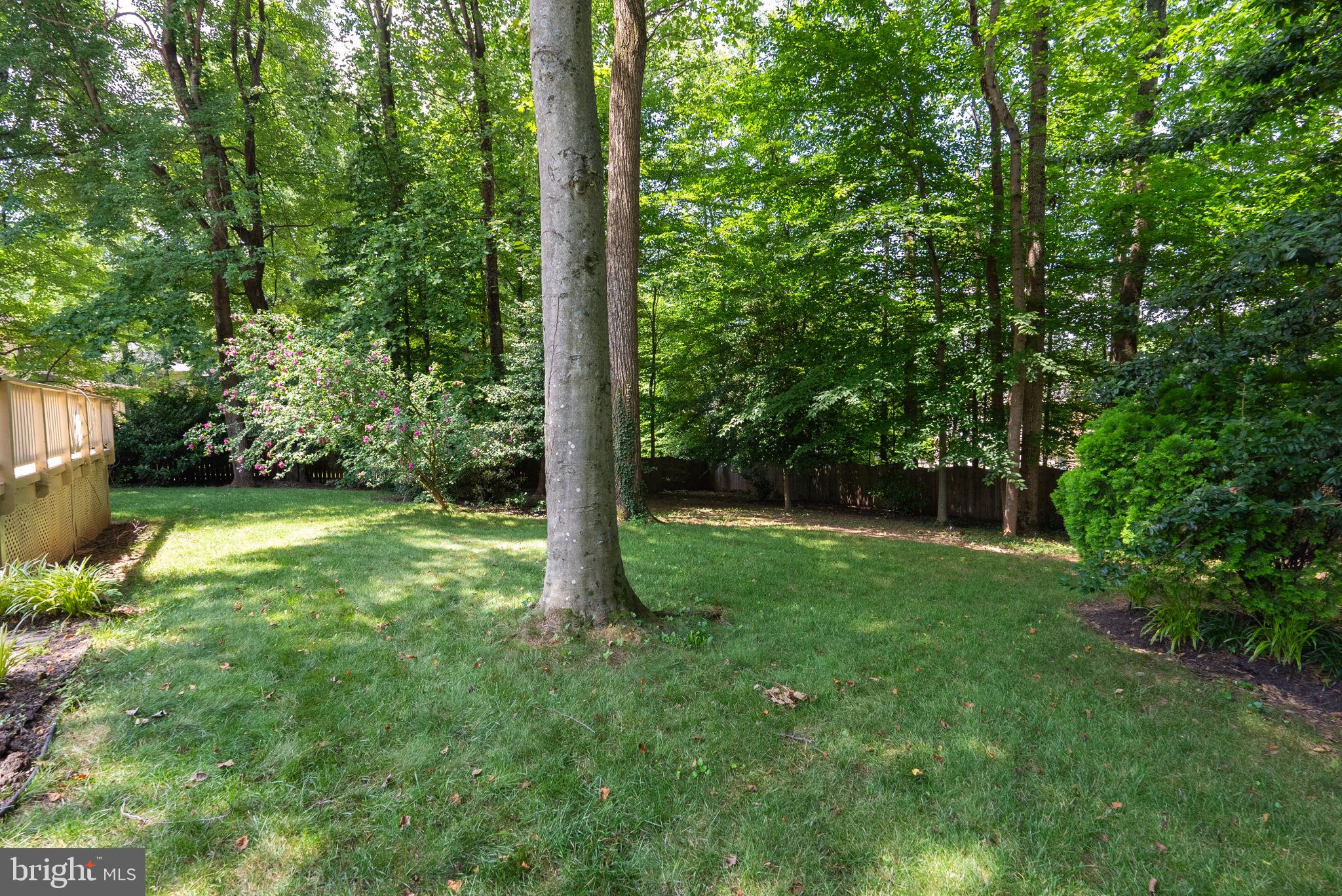 LANGLEY OAKS - Residential Lease