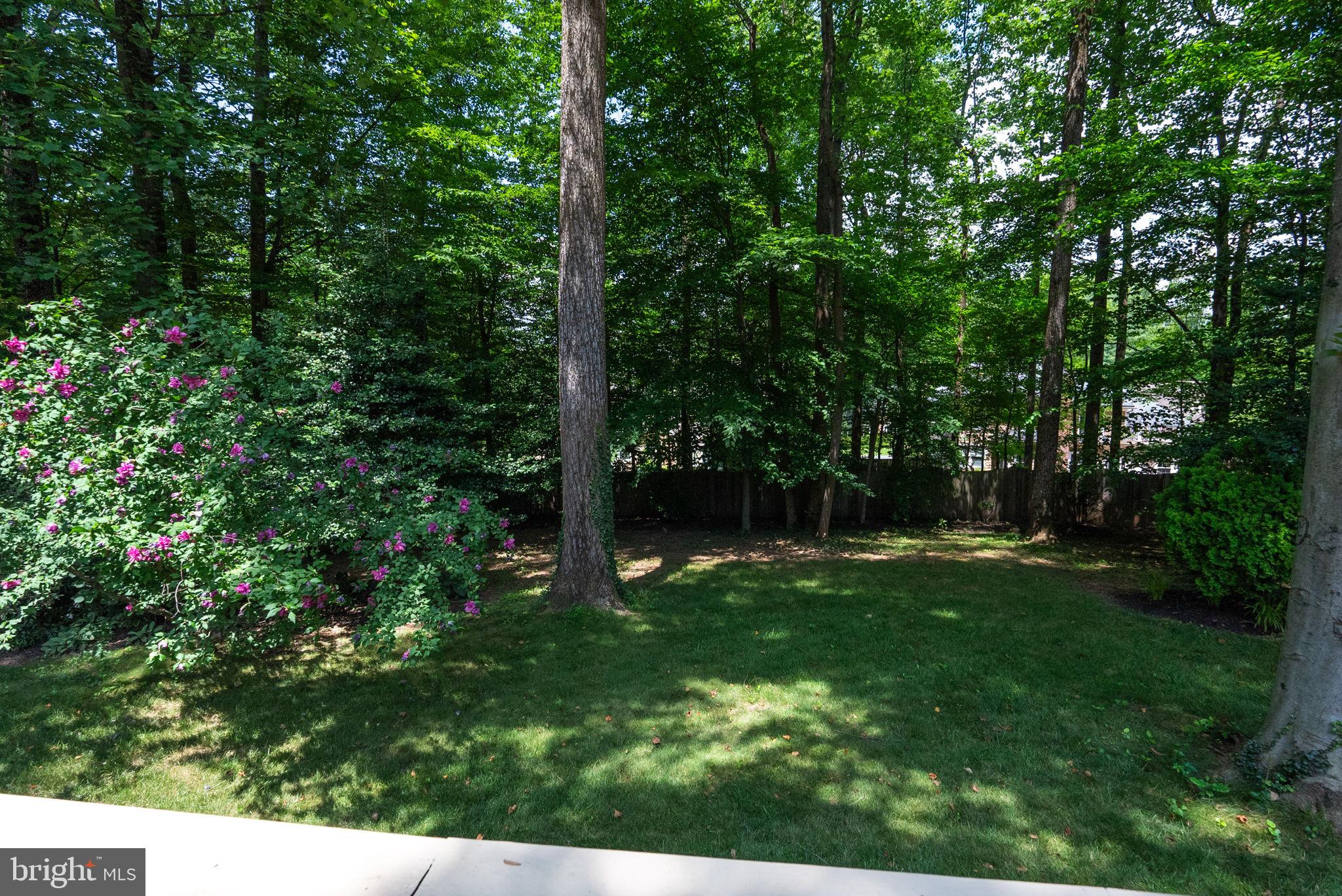 LANGLEY OAKS - Residential Lease