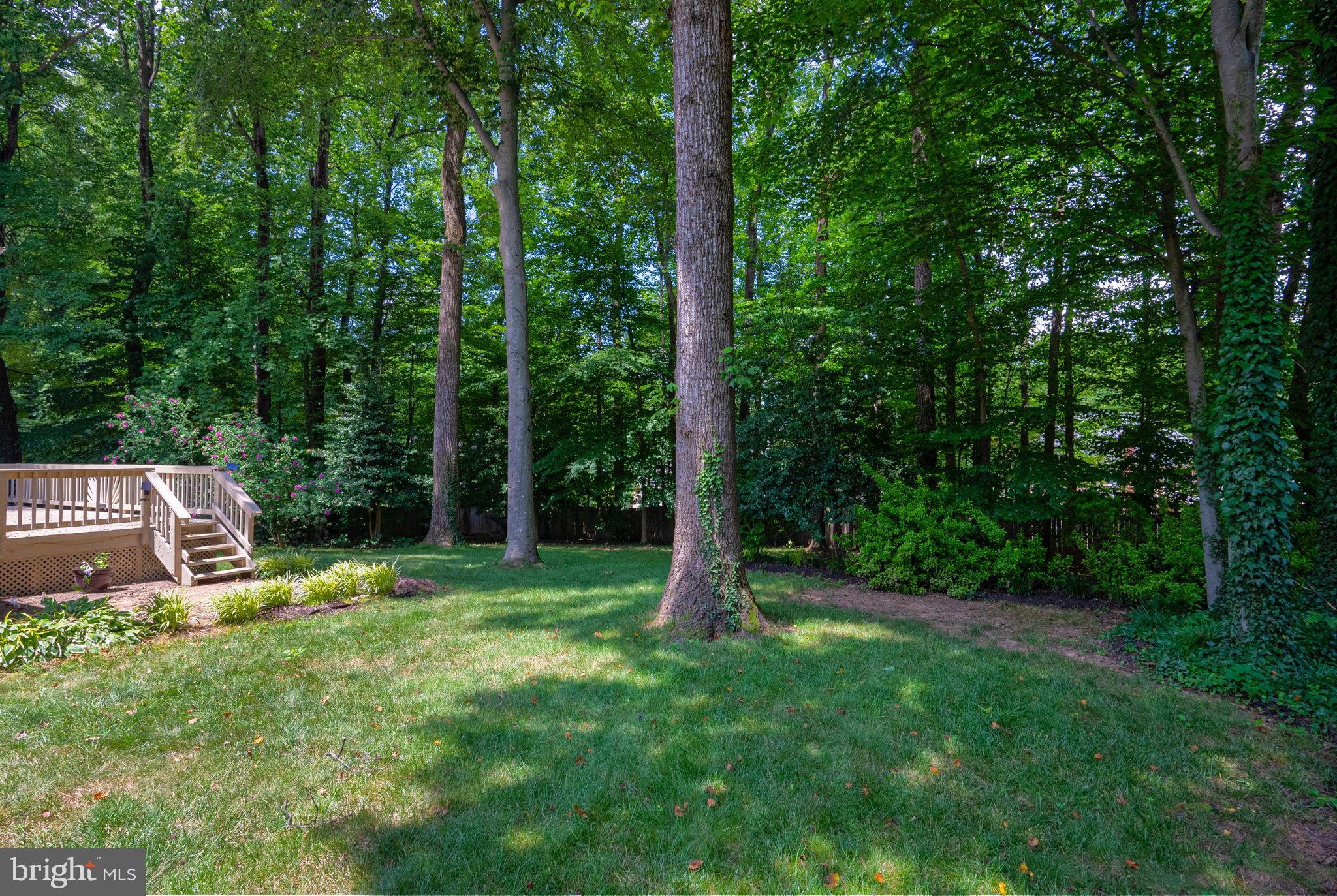 LANGLEY OAKS - Residential Lease