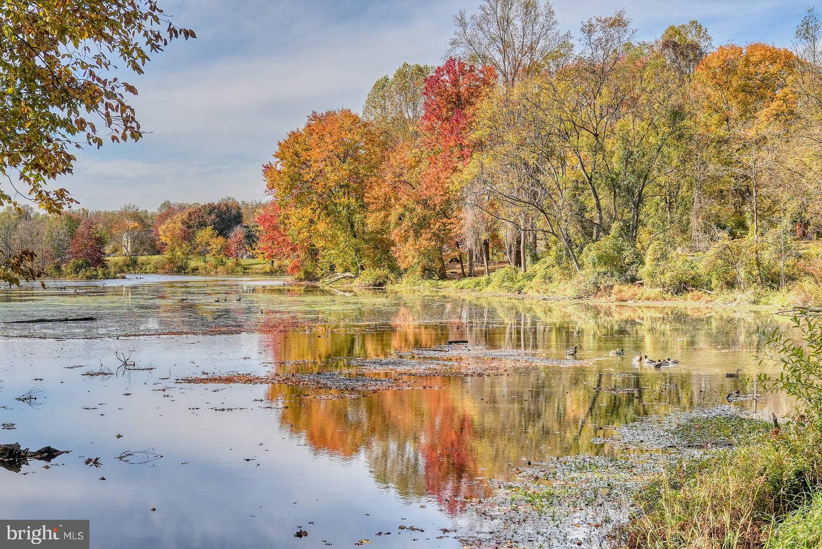 GUNNERS LAKE VILLAGE - Residential