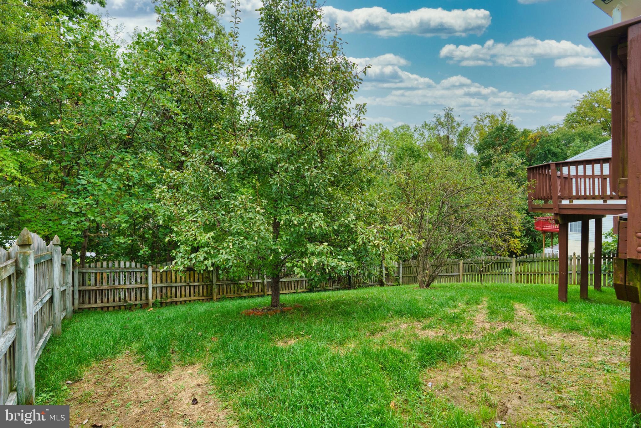 WILLIAMS KNOLL - Residential Lease