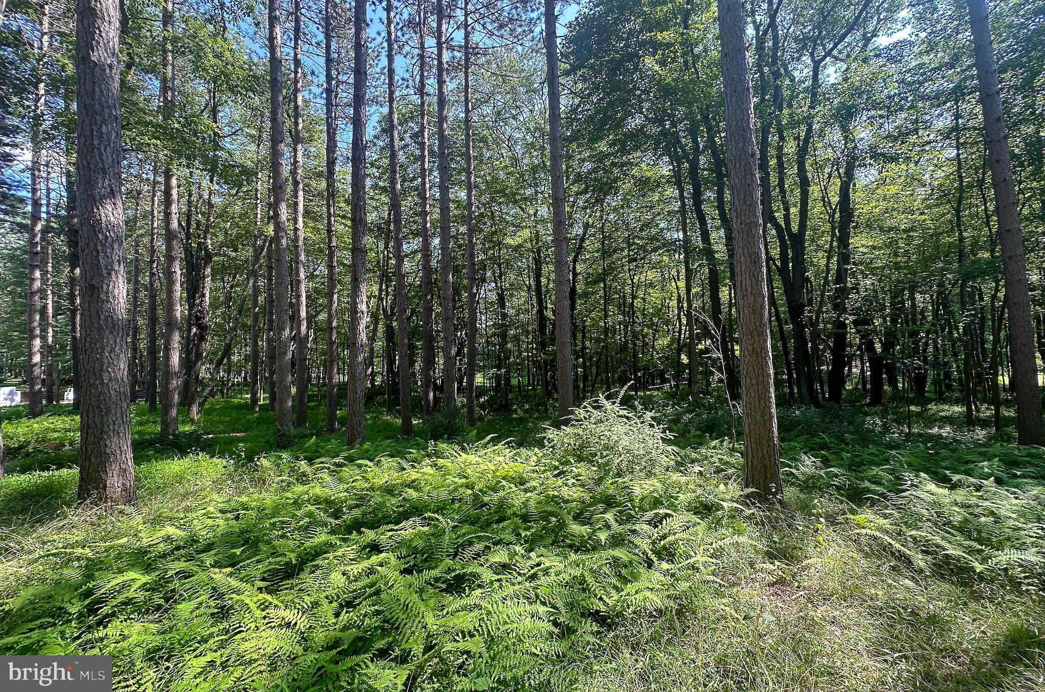 THE RESERVE AT HOLY CROSS - Land