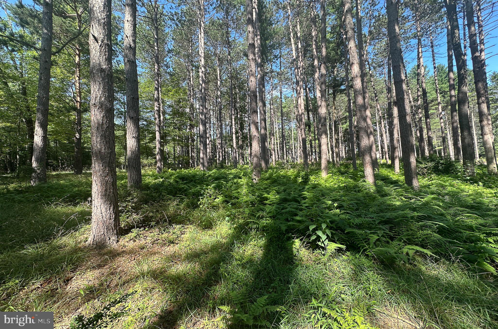 THE RESERVE AT HOLY CROSS - Land