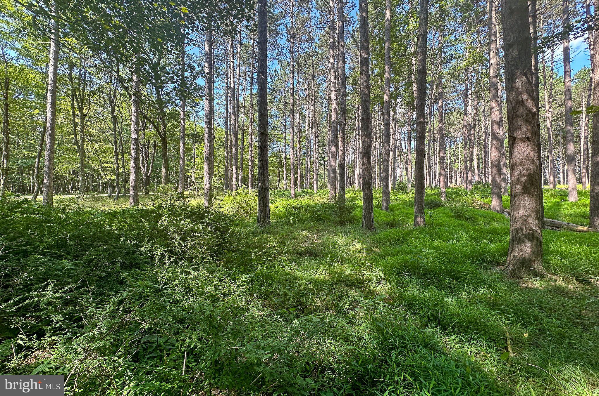 LOT 25 HOLY CROSS DRIVE