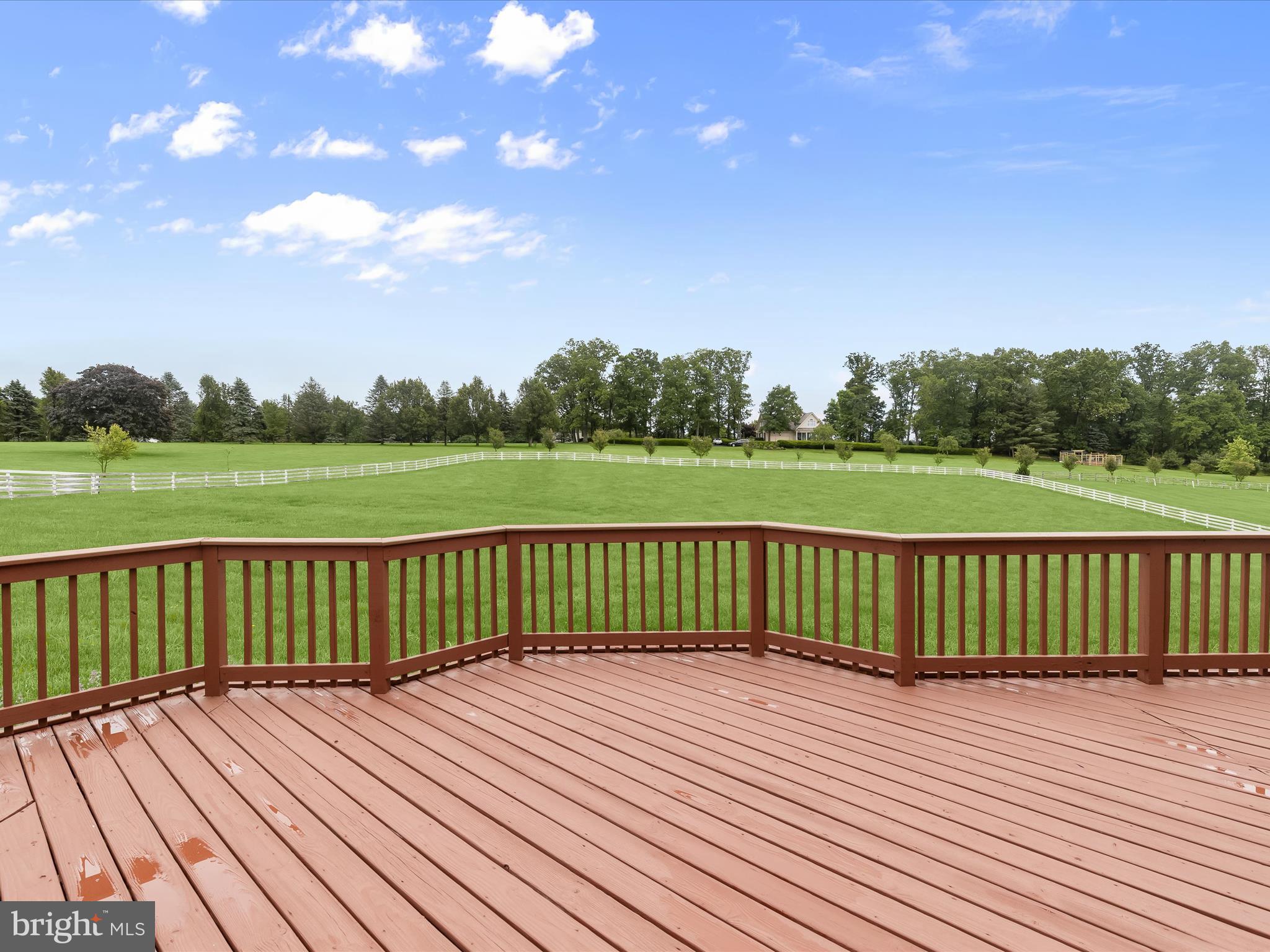 THE PADDOCKS - Residential