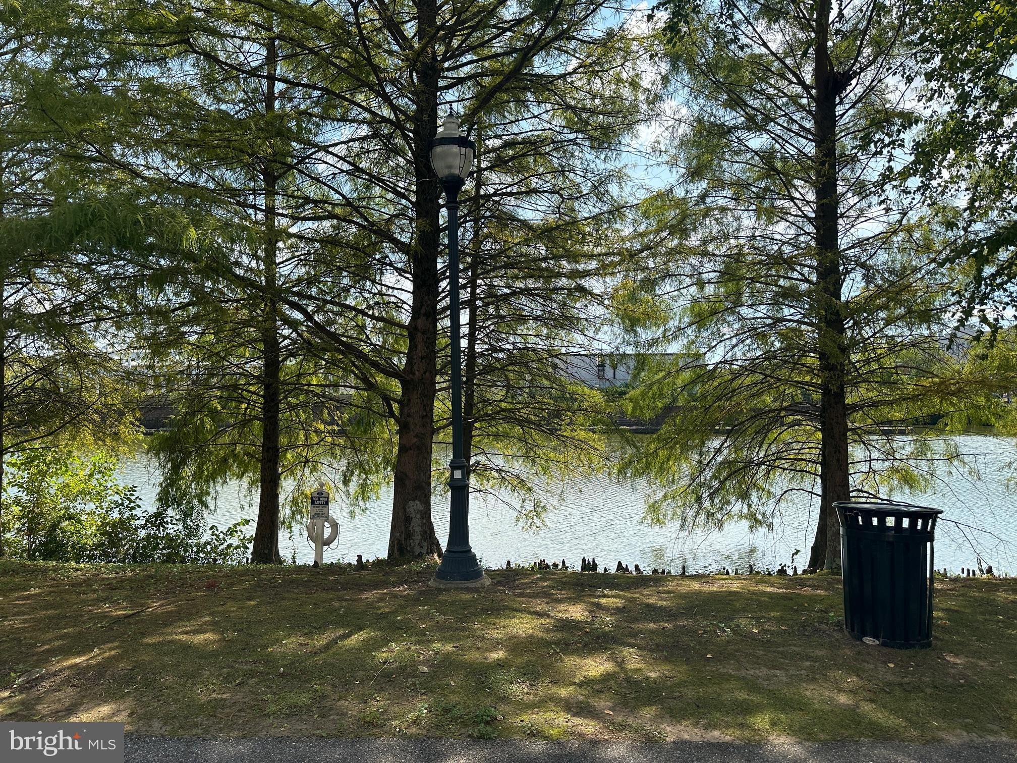 VILLAGE AT WAUGH CHAPEL - Residential