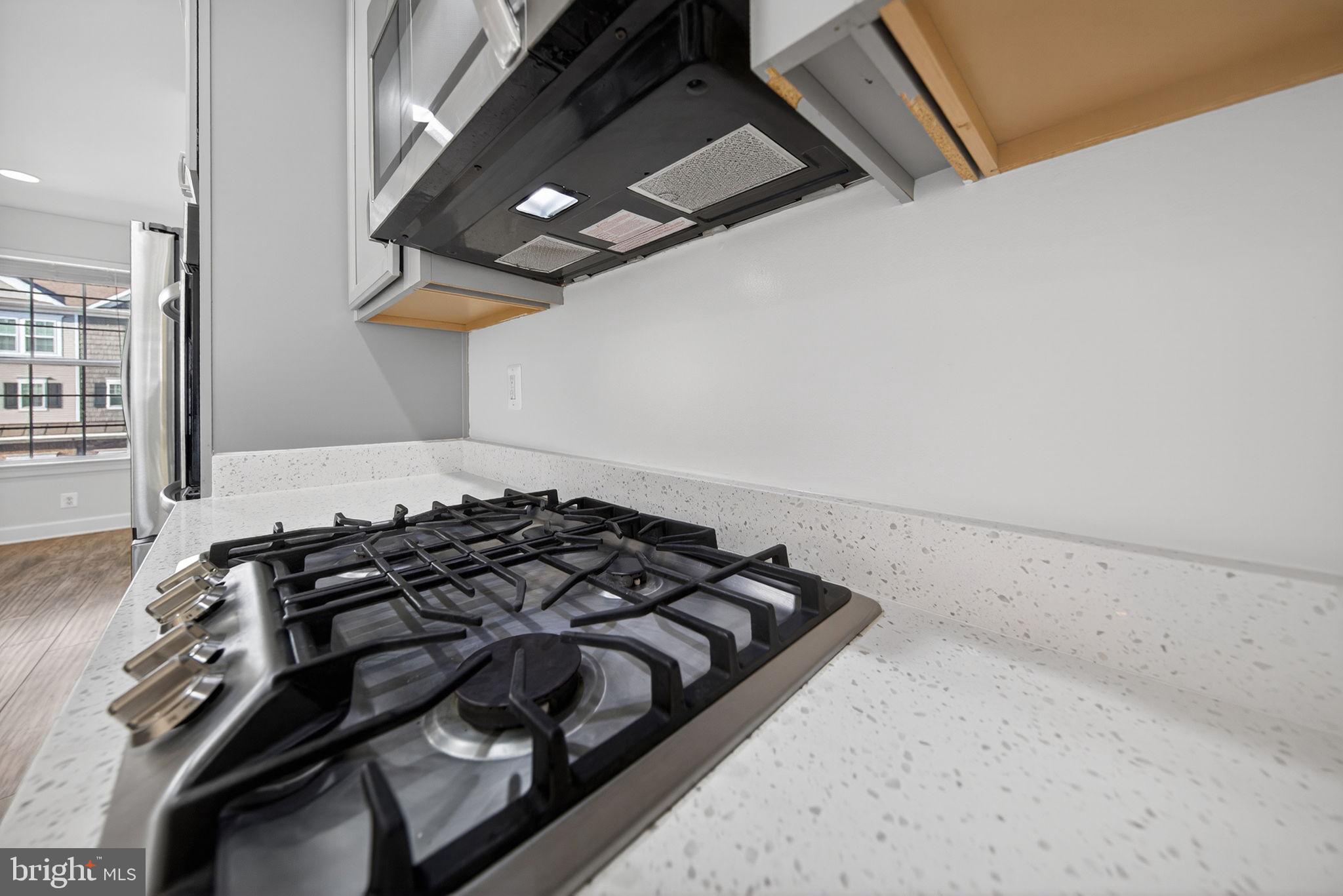 HAYMARKET CROSSING - Residential