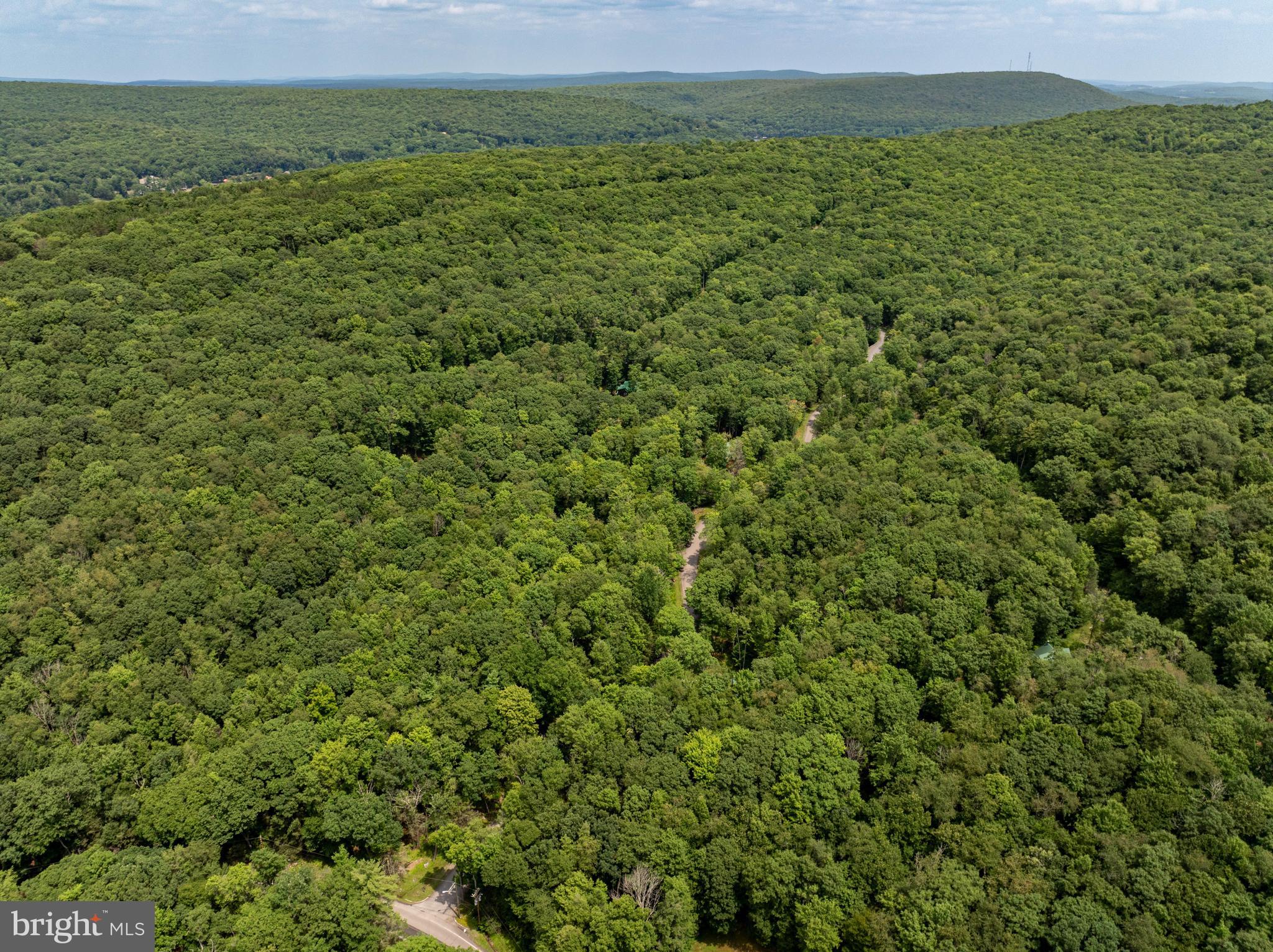 GALLATIN WOODS - Land