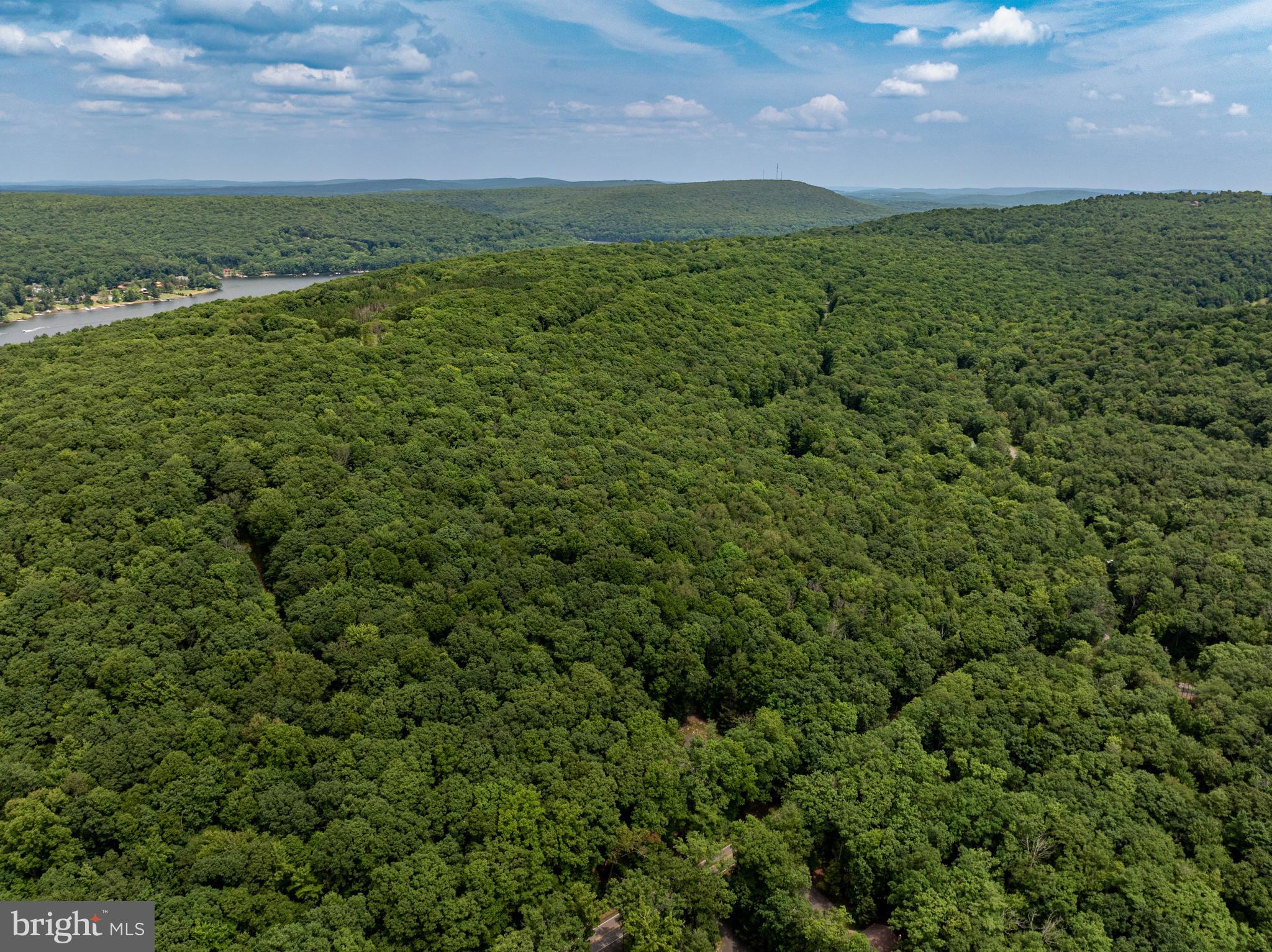 GALLATIN WOODS - Land